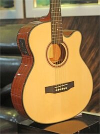 Đàn Guitar Acoustic Poshman N10AC EQ