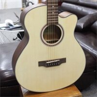 Đàn Guitar Acoustic Poshman N09AC
