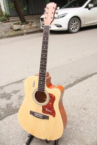 Đàn Guitar Acoustic Rosen 135