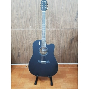 Đàn Guitar Acoustic Rosen R135