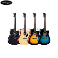 Đàn Guitar Acoustic Rosen G11-D-41 (Black-Natural-Sunburst-Blue)