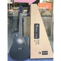 Đàn Guitar Acoustic Rosenn R135 Chính Hãng