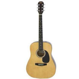 Đàn guitar Acoustic Takamine D1D
