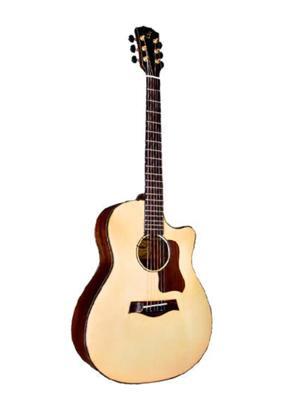 Đàn Guitar Acoustic Taylor T550D