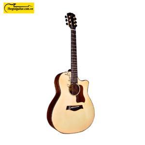 Đàn Guitar Acoustic Taylor T550D