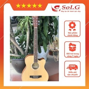 Đàn guitar Acoustic Vines VA-3940N