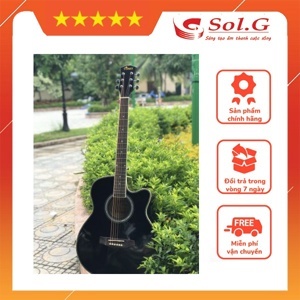 Đàn guitar acoustic Vines VA-4020BK
