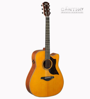 Đàn Guitar Acoustic Yamaha A3M