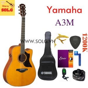 Đàn Guitar Acoustic Yamaha A3M
