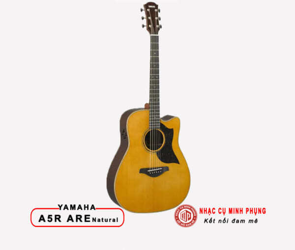 Đàn Guitar Acoustic Yamaha A5R