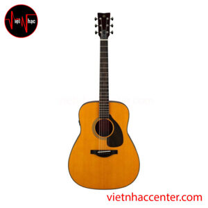 Đàn Guitar Acoustic Yamaha FGX5