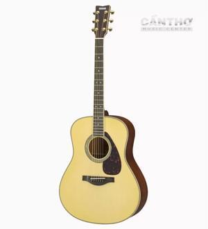 Đàn Guitar Acoustic Yamaha LL6M
