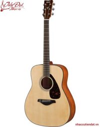 Đàn Guitar Acoustic Yamaha FG800M