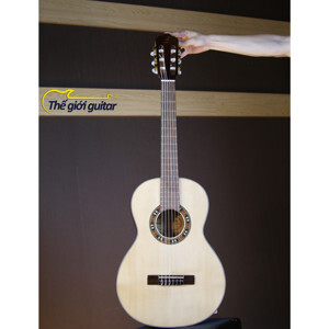 Đàn Guitar Badon DAM150