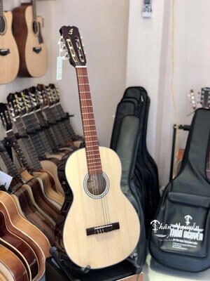 Đàn Guitar Badon DAM70