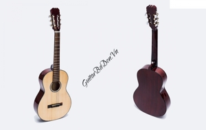 Đàn Guitar Badon DAM70