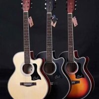 Đàn Guitar Cate QM 701