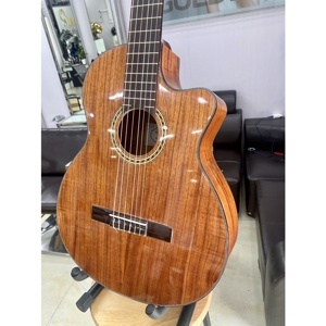 Đàn Guitar Classic C-170