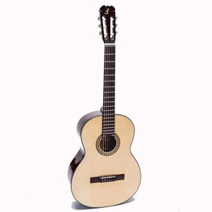 Đàn Guitar Classic C-170