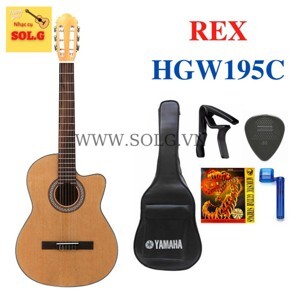 Đàn guitar classic HGW195C