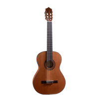 Đàn Guitar Classic Martinez Etude C