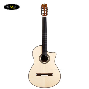 Đàn Guitar Cordoba Fusion 12 Maple