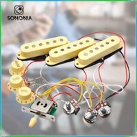 Đàn Guitar Điện Cầu Cổ Phần Mạch Đàn Guitar Điện Pickup