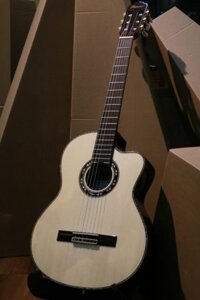 Đàn Guitar Flamenco FSP7 CE