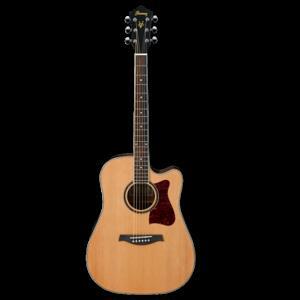 Đàn Guitar Ibanez V74-OPN