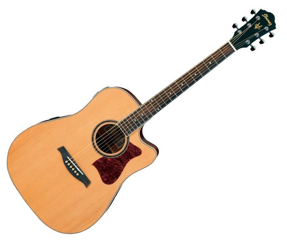 Đàn Guitar Ibanez V74ECE