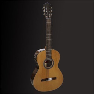 Đàn guitar Martinez MC-48