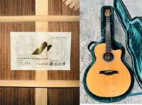 Đàn Guitar Morris S103 All Solid Cao Cấp