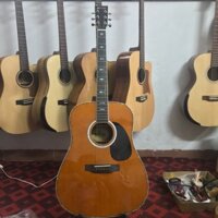 ĐÀN GUITAR MORRIS W40 ( HÀNG ĐÀI LOAN )