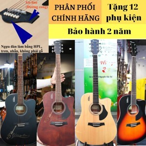 Đàn Guitar Rosen G15