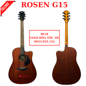 Đàn Guitar Rosen G15