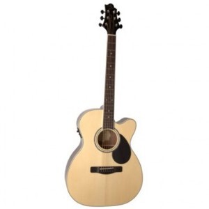 Đàn guitar Samick GOM-100 SCE