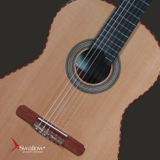 Đàn Guitar Swallow Classic C750