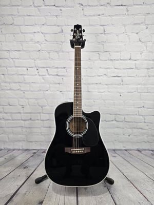 Đàn guitar Takamine EF341SC