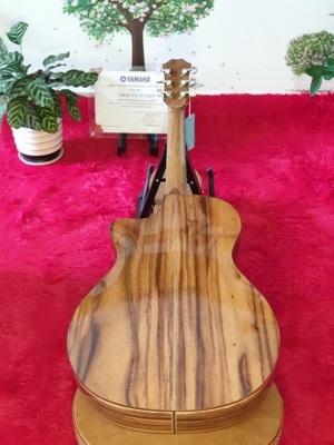 Đàn Guitar Takamine GD10