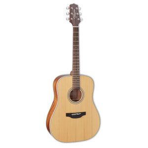 Đàn Guitar Takamine GD20