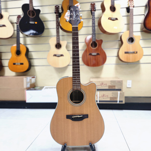 Đàn Guitar Takamine GD20CE