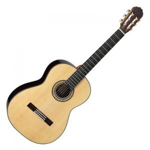 Đàn guitar Takamine H8SS