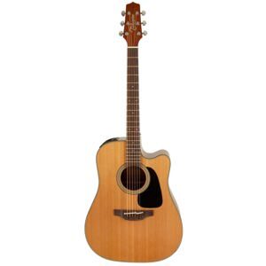 Đàn guitar Takamine P1DC