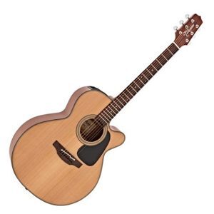 Đàn guitar Takamine P1NC