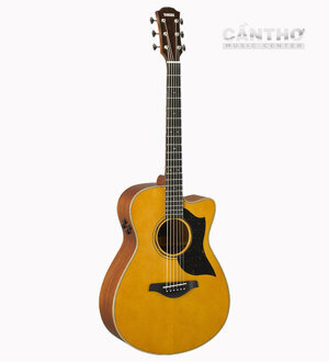 Đàn guitar Yamaha AC5M