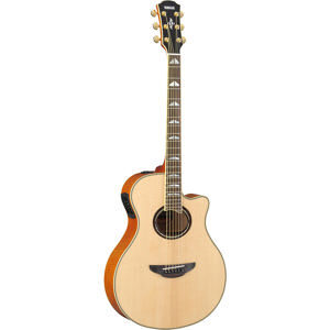 Đàn guitar Yamaha APX1000 (APX 1000)