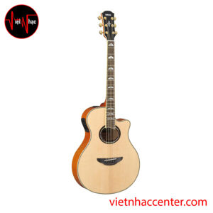 Đàn guitar Yamaha APX1000 (APX 1000)