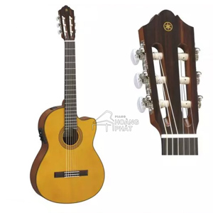Đàn guitar Yamaha CGX122MSC