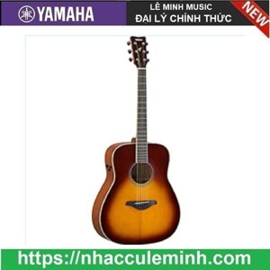 Đàn Guitar Yamaha FG-TA