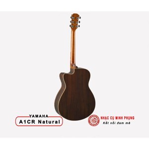 Đàn Gutiar Acoustic Yamaha AC1R